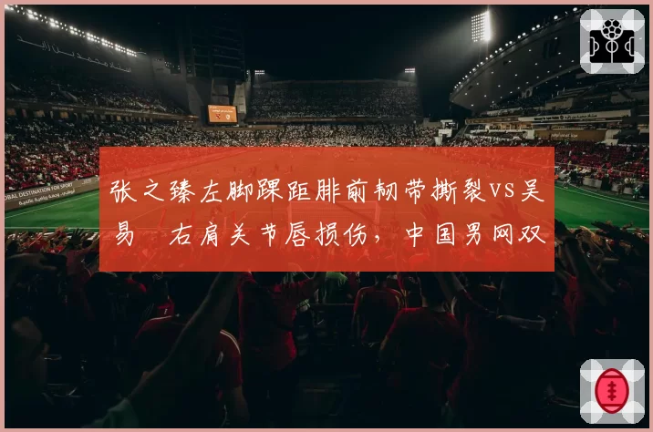 张之臻左脚踝距腓前韧带撕裂vs吴易昺右肩关节唇损伤，中国男网双星康复进程对照