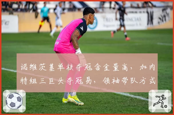 诺维茨基单核夺冠含金量高，加内特组三巨头夺冠易，领袖带队方式差异