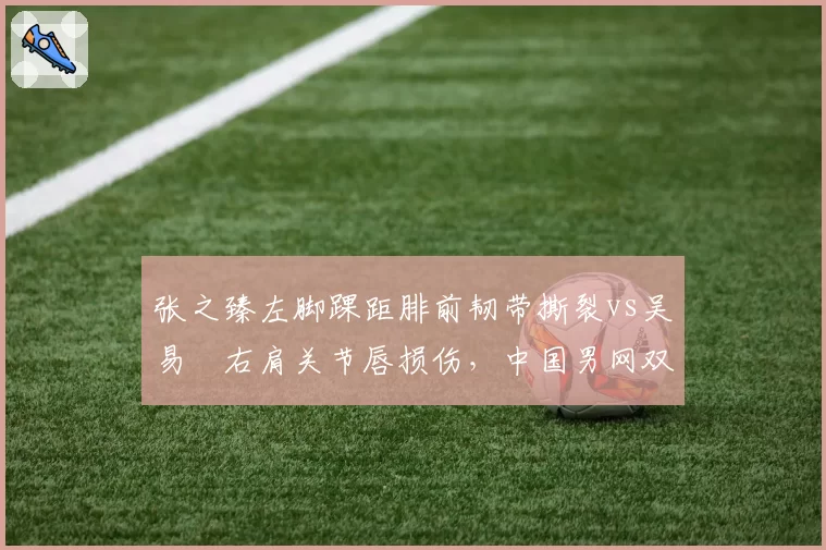 张之臻左脚踝距腓前韧带撕裂vs吴易昺右肩关节唇损伤，中国男网双星康复进程对照